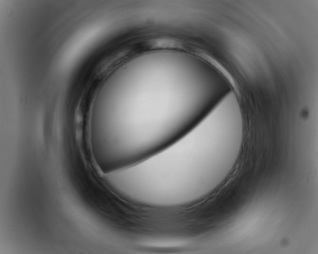 X0000103221151200808280920