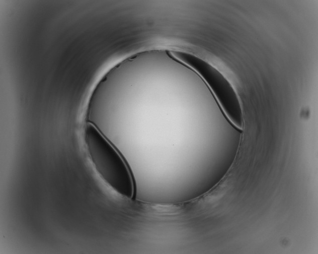 X0000103221152200808280920