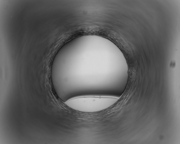 X0000103221153200808280919