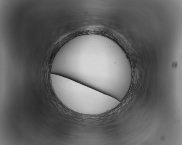 X0000103221158200808280919