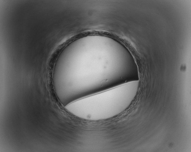 X0000103221159200808280919