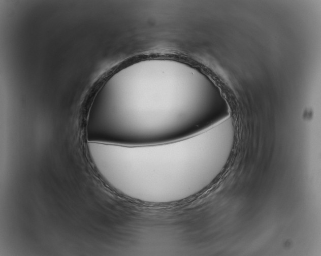 X0000103221160200808280919