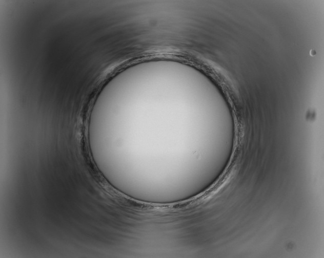 X0000103221161200808280919