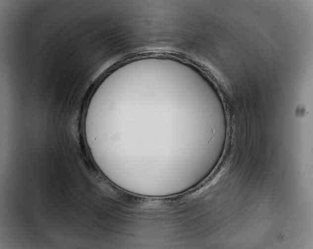 X0000103221162200808280919