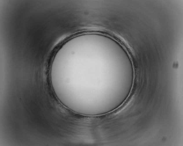 X0000103221163200808280919