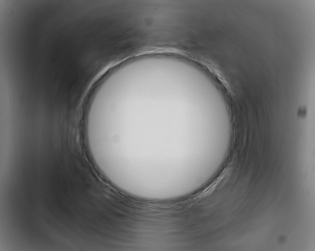 X0000103221165200808280919