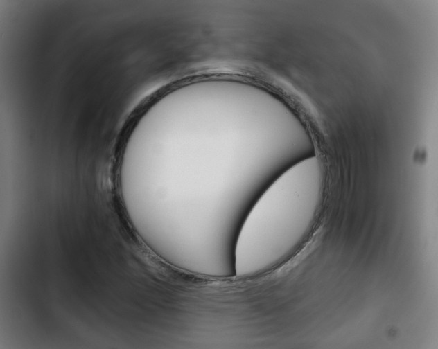 X0000103221166200808280919