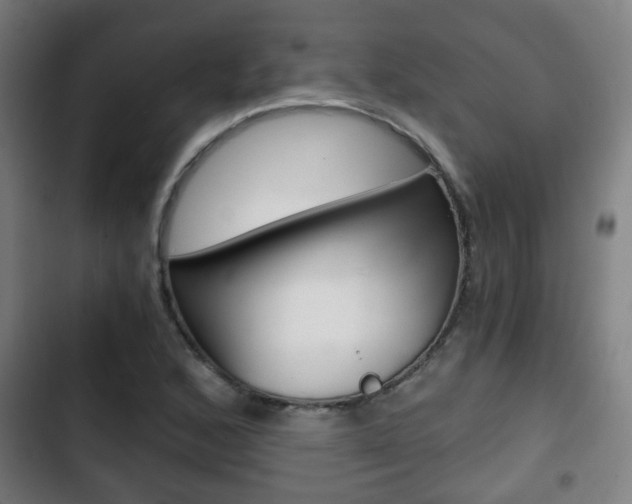 X0000103221168200808280919