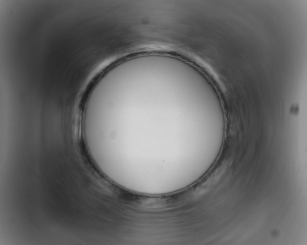 X0000103221171200808280919