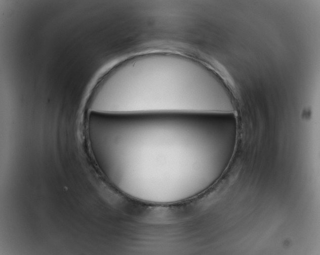 X0000103221172200808280919
