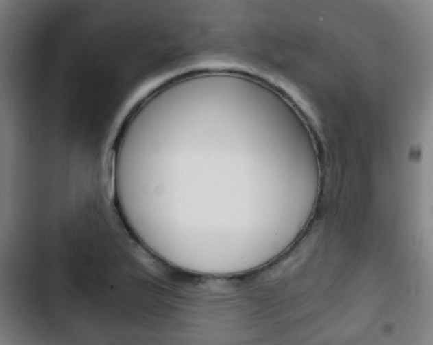 X0000103221175200808280919