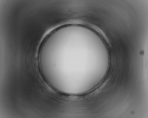 X0000103221176200808280919