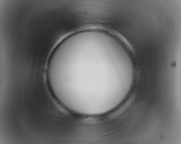X0000103221178200808280919