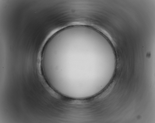 X0000103221179200808280919