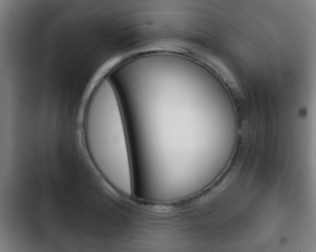 X0000103221180200808280919