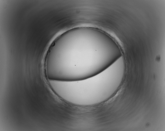 X0000103221181200808280919
