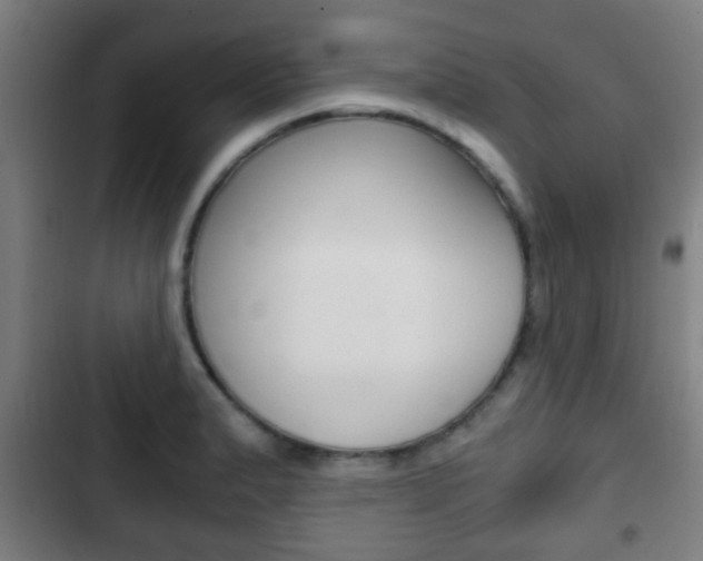 X0000103221183200808280919