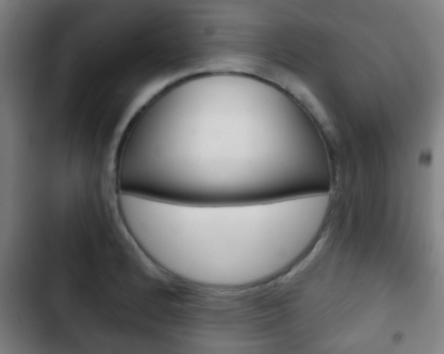 X0000103221184200808280919