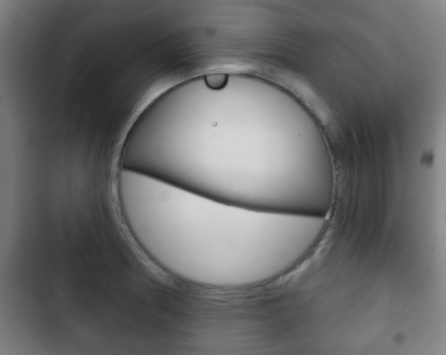 X0000103221186200808280919
