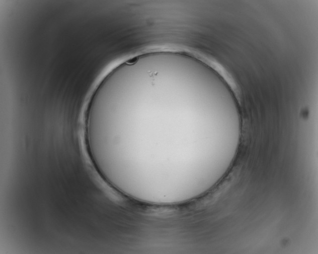 X0000103221187200808280919