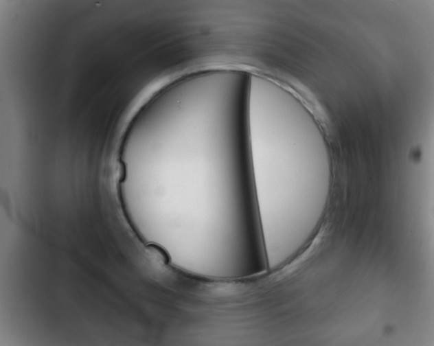 X0000103221188200808280919