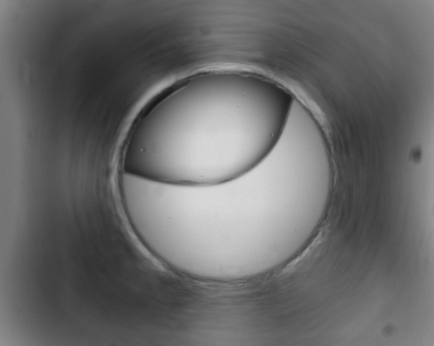 X0000103221189200808280919