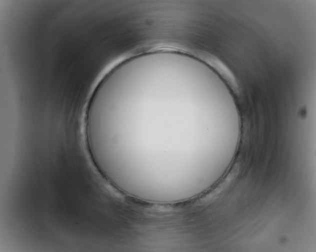 X0000103221190200808280919