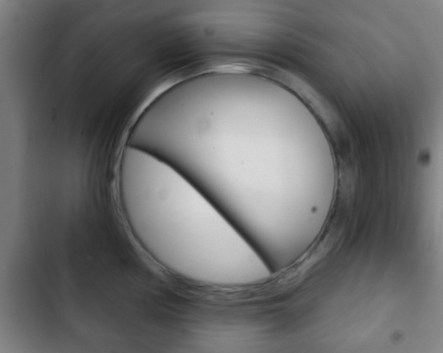 X0000103221194200808280919