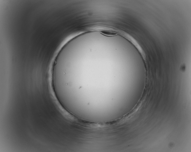 X0000103221195200808280919