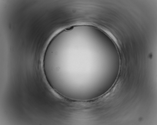 X0000103221197200808280918
