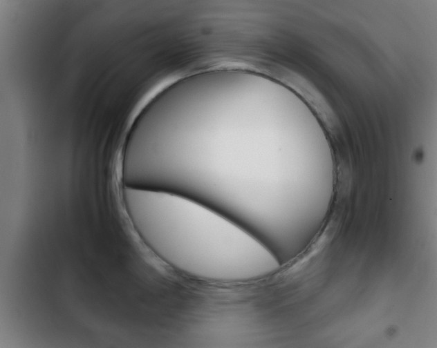 X0000103221198200808280918