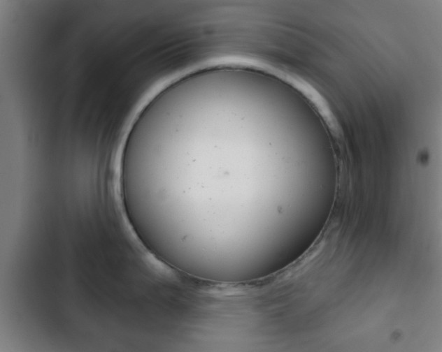X0000103221199200808280918