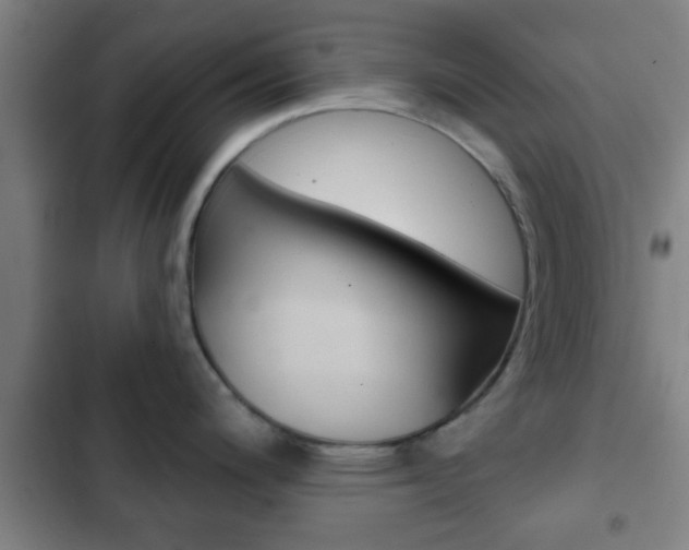 X0000103221200200808280918