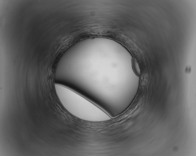 X0000103221202200808280918