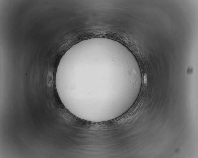 X0000103221203200808280918