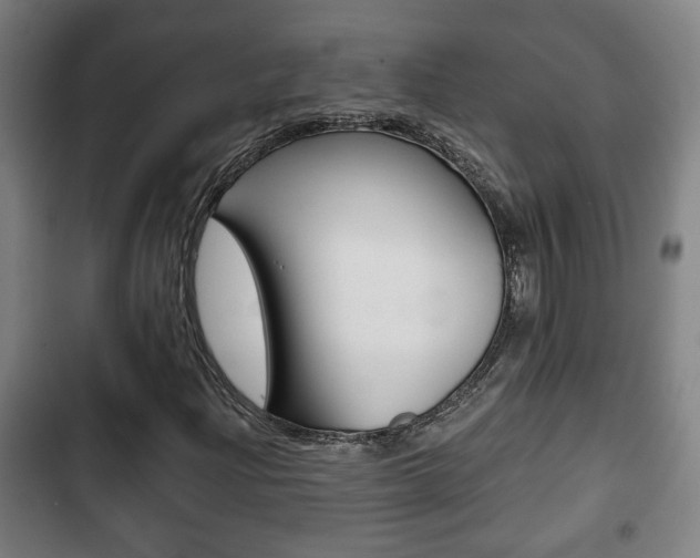 X0000103221204200808280918