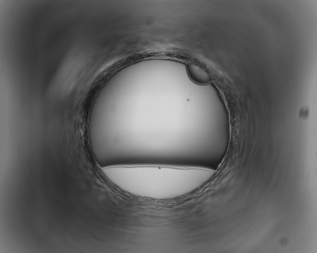 X0000103221206200808280918
