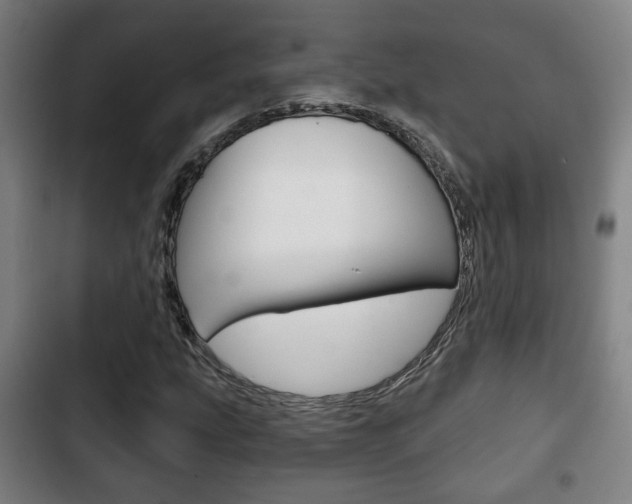 X0000103221207200808280918
