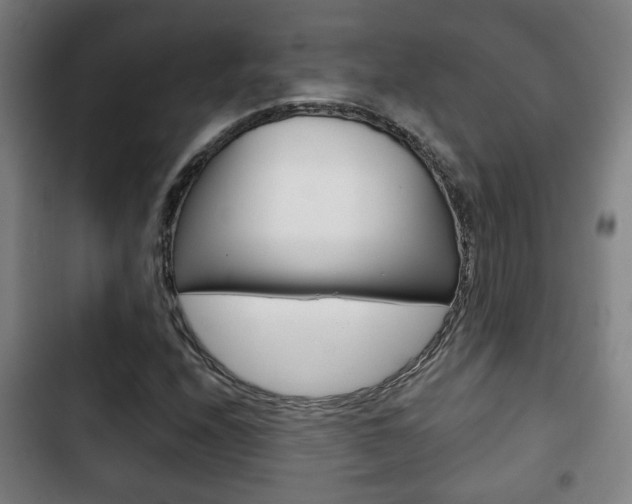 X0000103221208200808280918