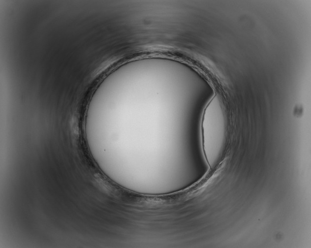 X0000103221209200808280918