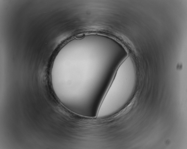 X0000103221210200808280918