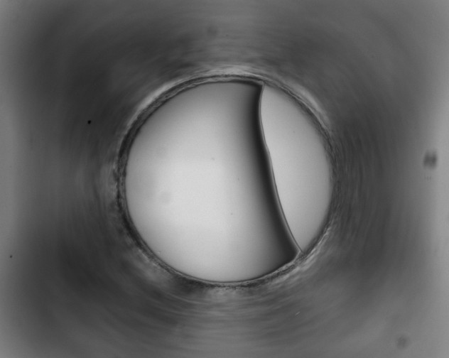 X0000103221212200808280918