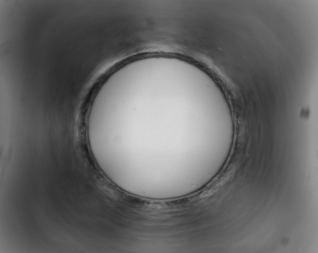 X0000103221215200808280918