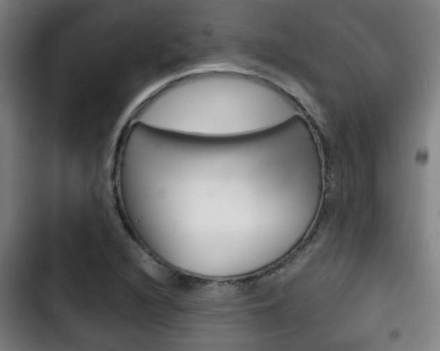 X0000103221216200808280918