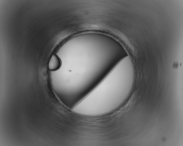 X0000103221218200808280918