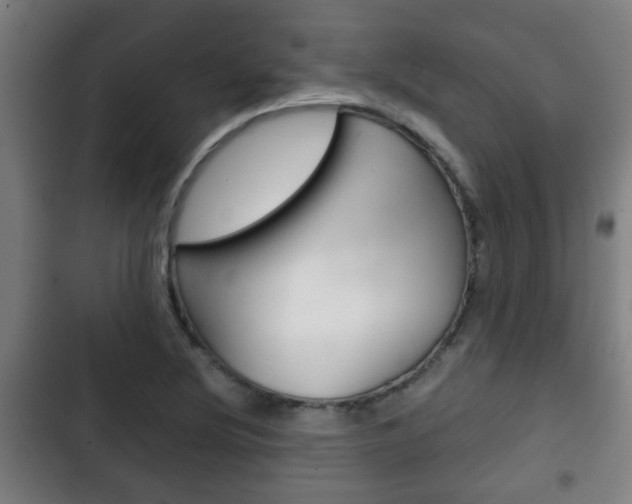 X0000103221220200808280918