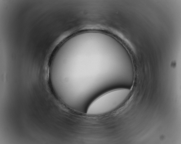 X0000103221221200808280918