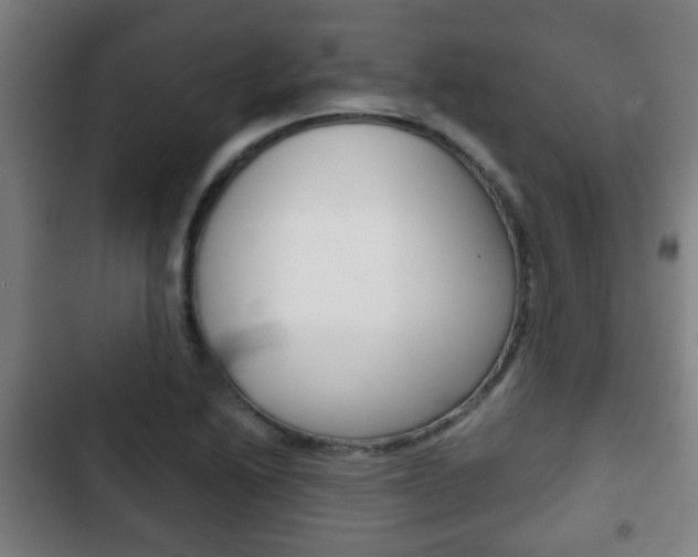 X0000103221222200808280918