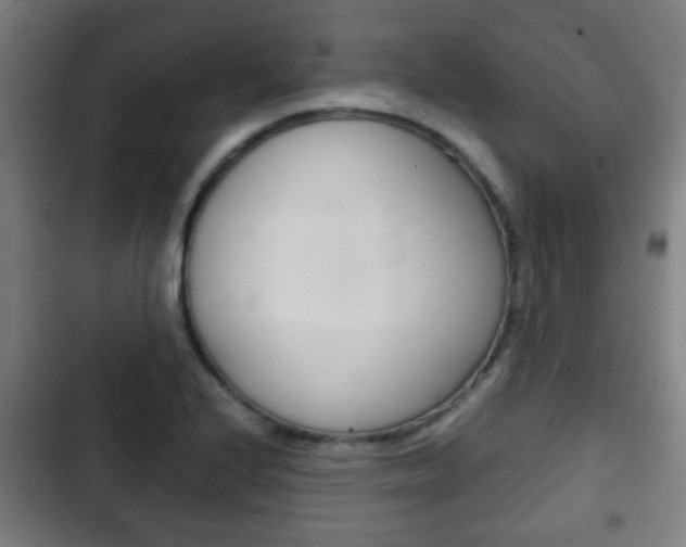 X0000103221224200808280918
