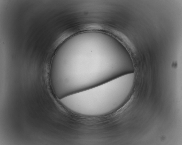 X0000103221225200808280918